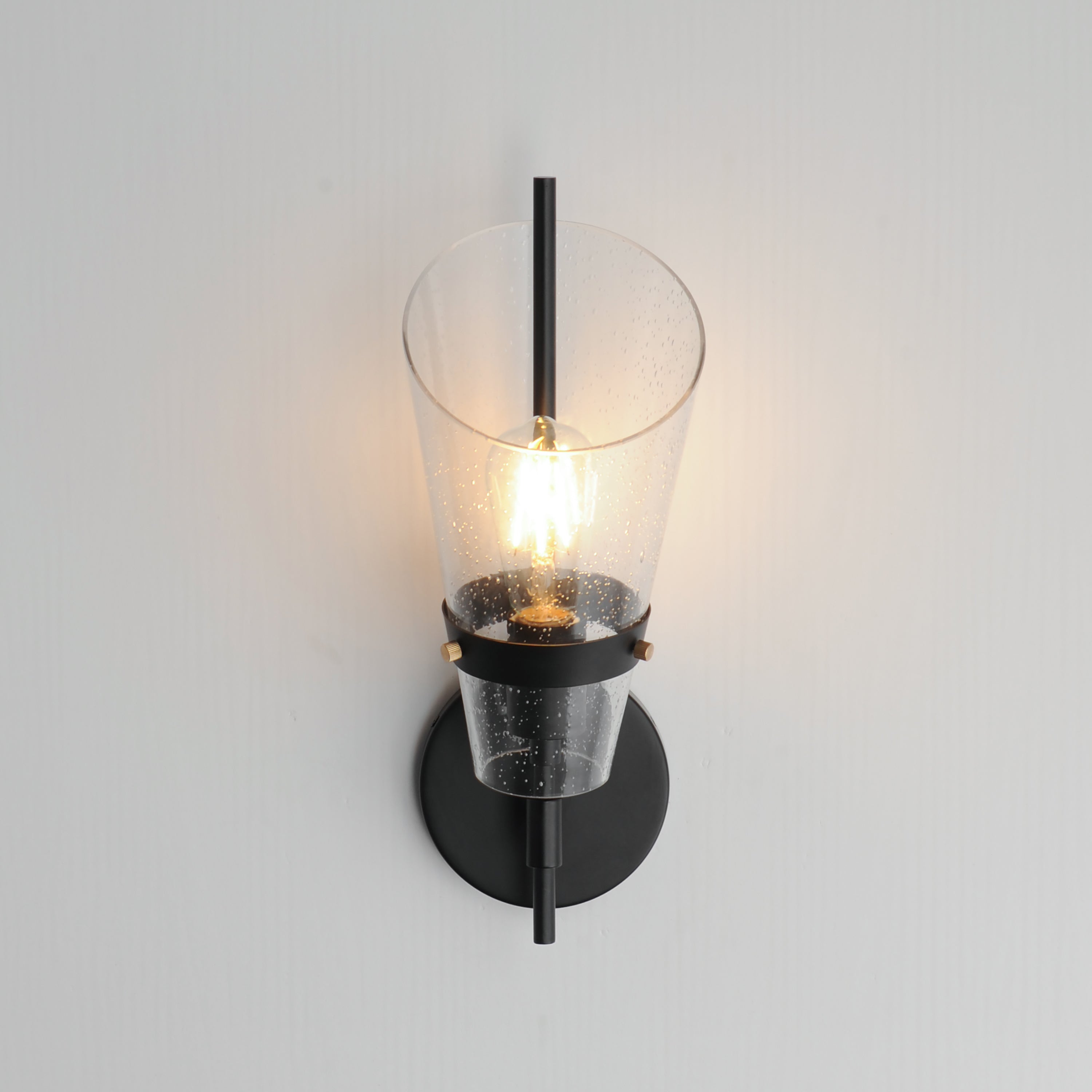 Finch 1-Light Wall Sconce