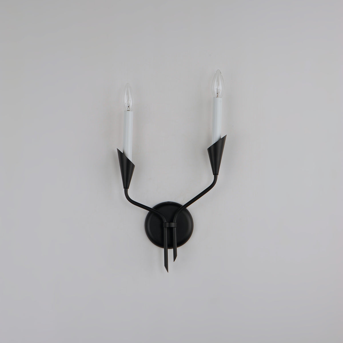 Calyx 2-Light Sconce