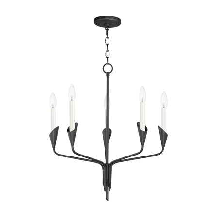 Calyx 5-Light Chandelier