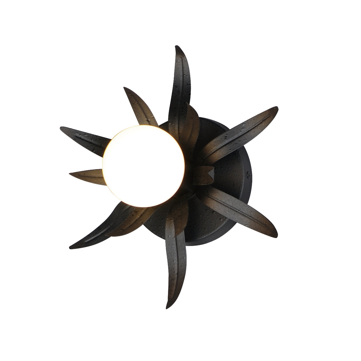 Paloma 1-Light Sconce