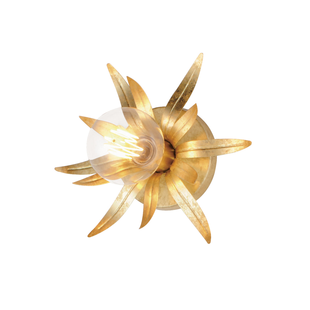 Paloma 1-Light Sconce