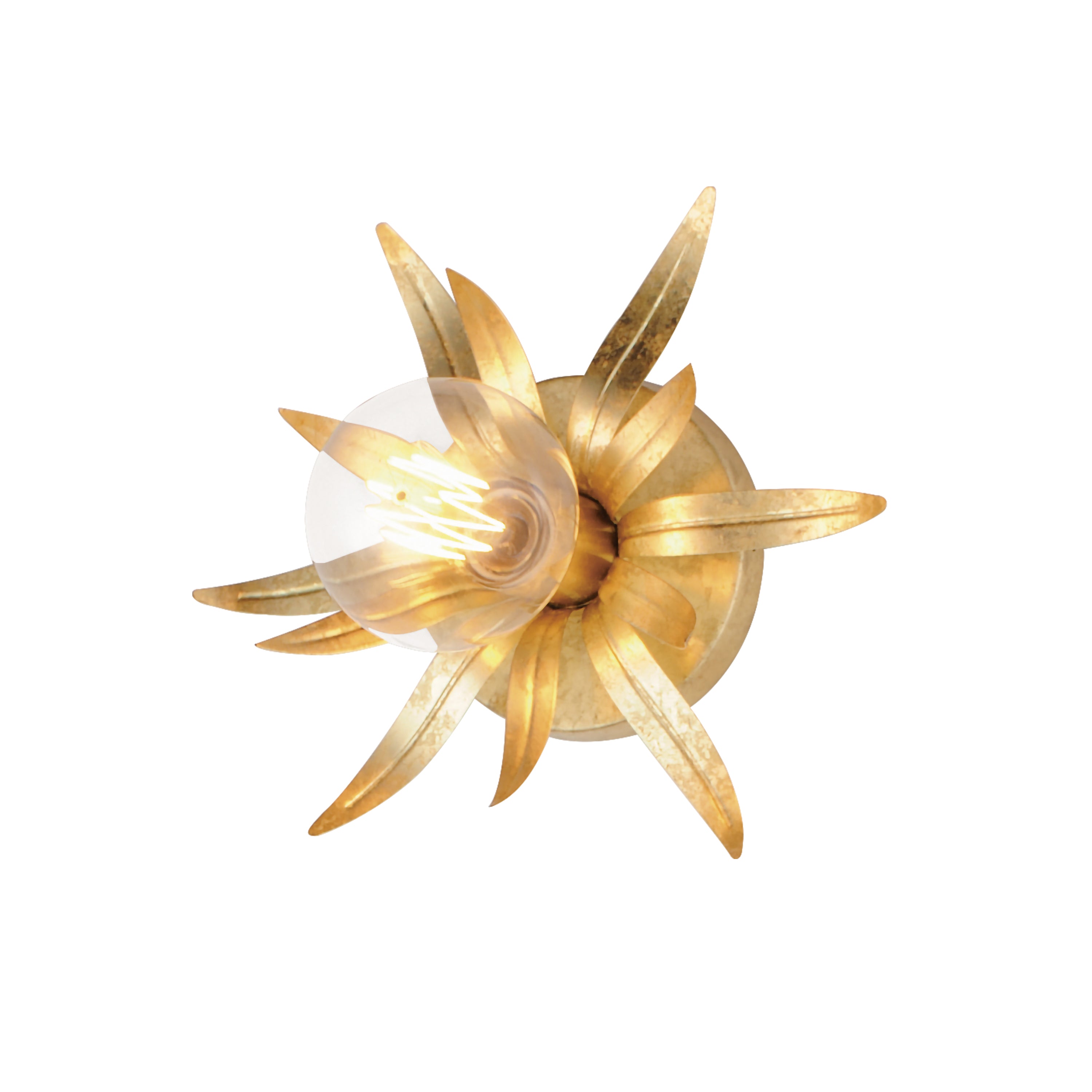 Paloma 1-Light Sconce