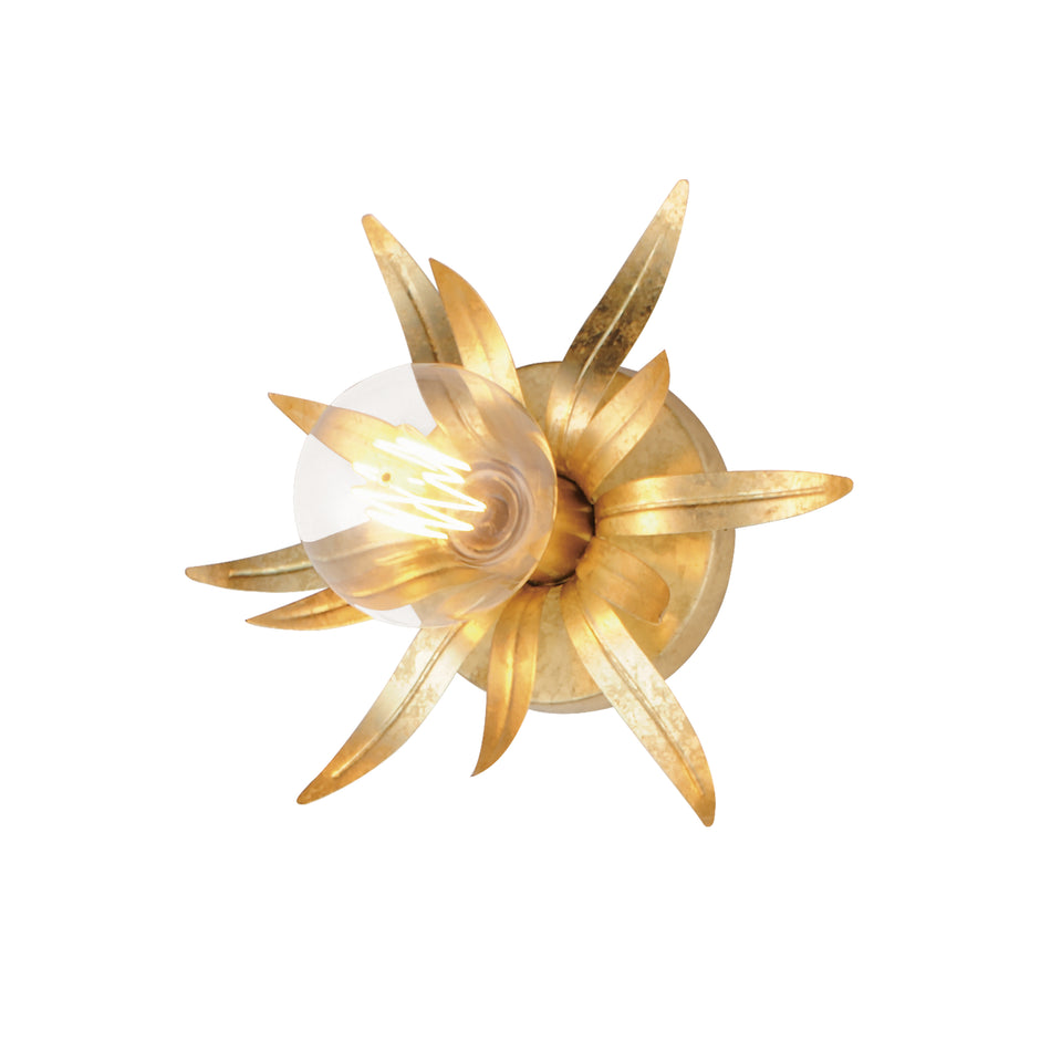 Paloma 1-Light Sconce