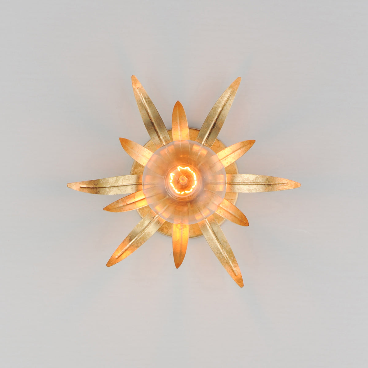 Paloma 1-Light Sconce