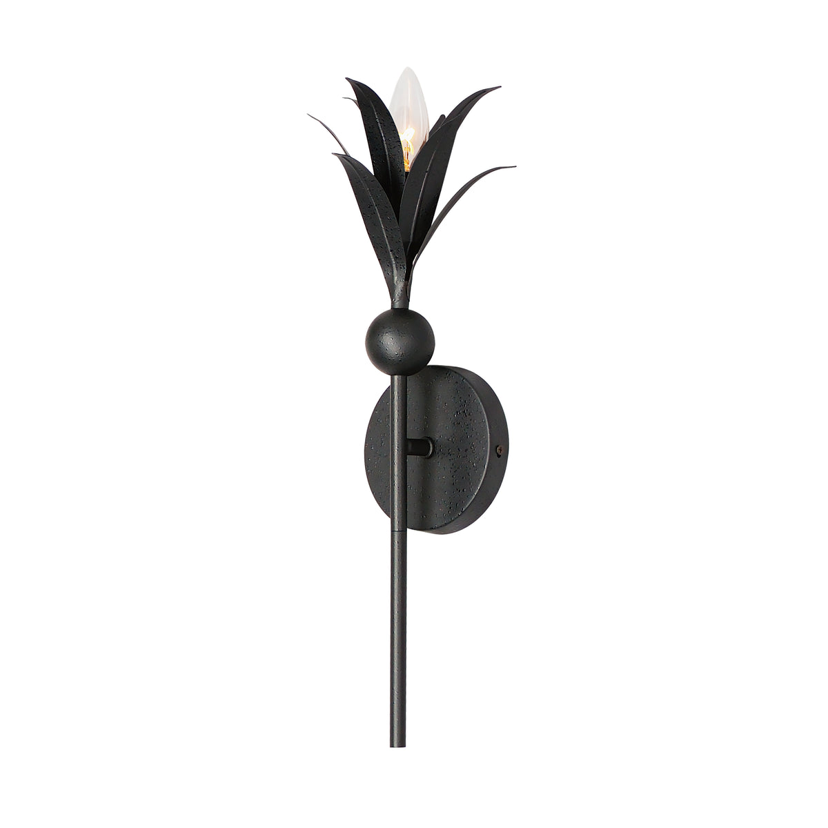 Paloma 1-Light Sconce