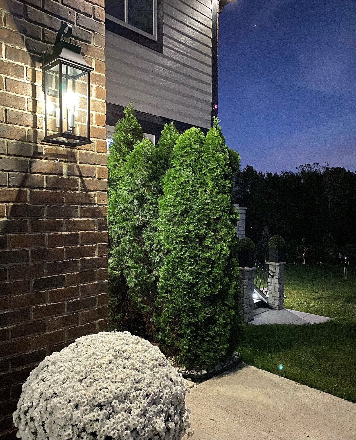 Vicksburg 3-Light Large Outdoor Wall Sconce