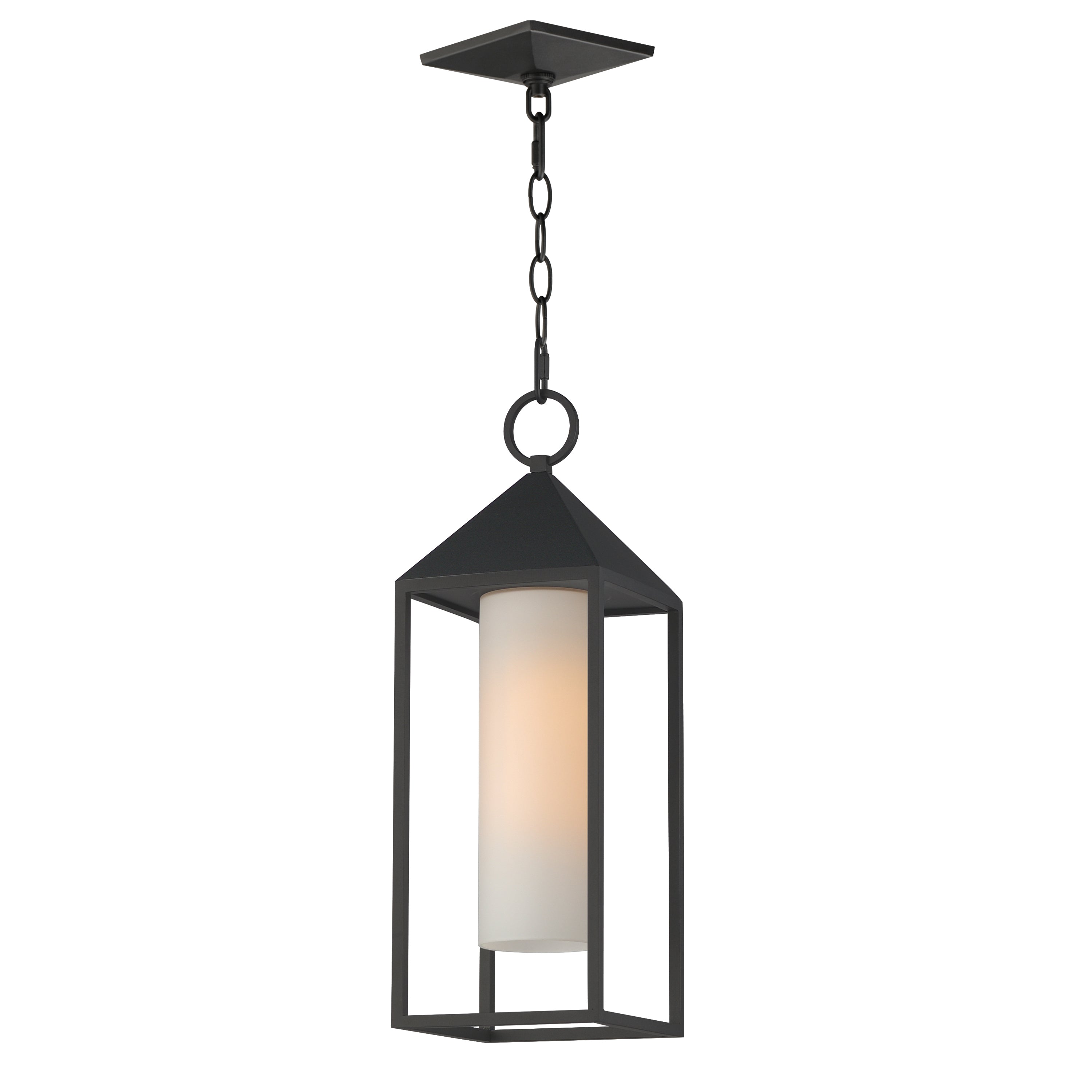 Aldous 1-Light Outdoor Pendant
