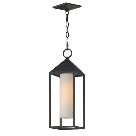 Aldous 1-Light Outdoor Pendant