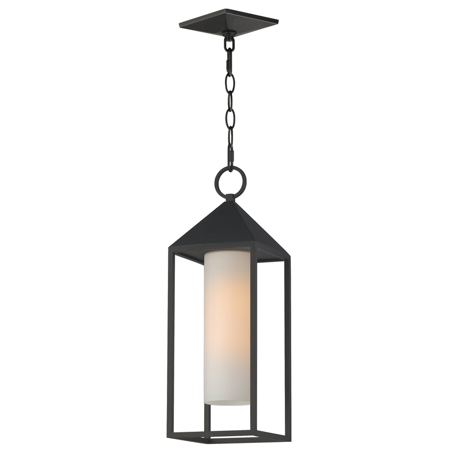 Aldous 1-Light Outdoor Pendant