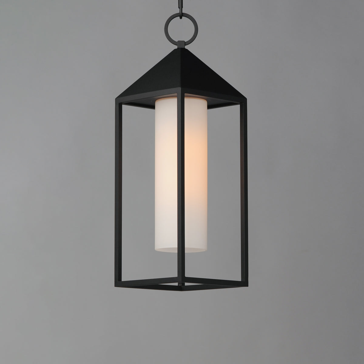 Aldous 1-Light Outdoor Pendant