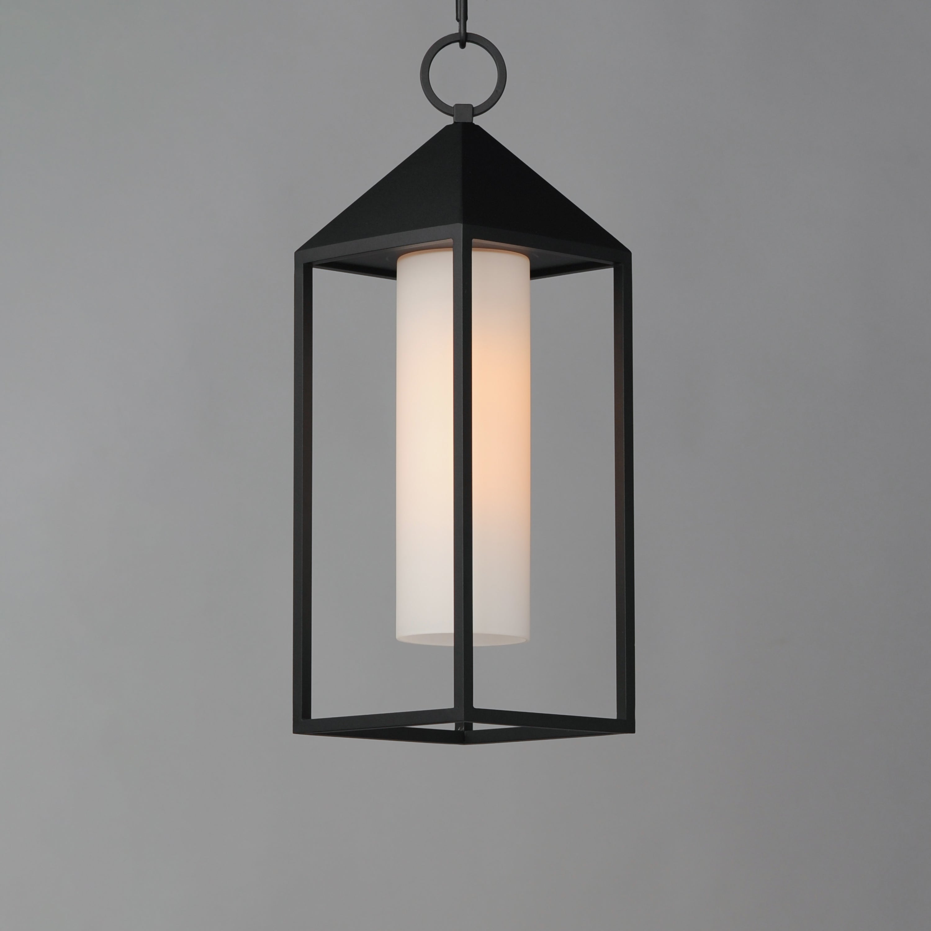 Aldous 1-Light Outdoor Pendant