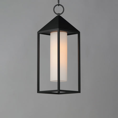 Aldous 1-Light Outdoor Pendant