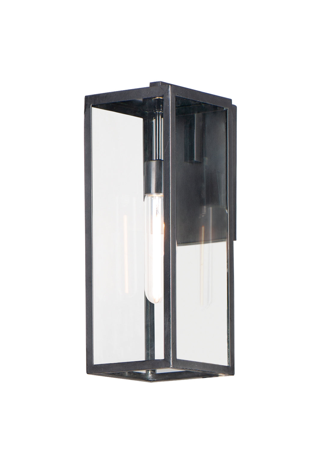 Catalina 1-Light Medium Outdoor Wall Sconce