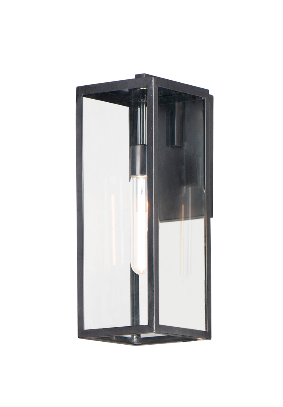 Catalina 1-Light Medium Outdoor Wall Sconce