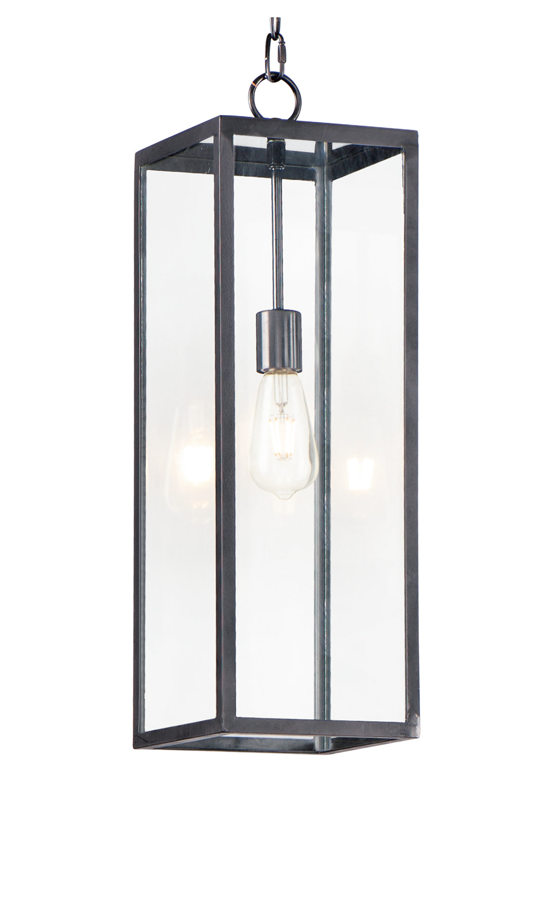 Catalina 1-Light Outdoor Hanging Lantern