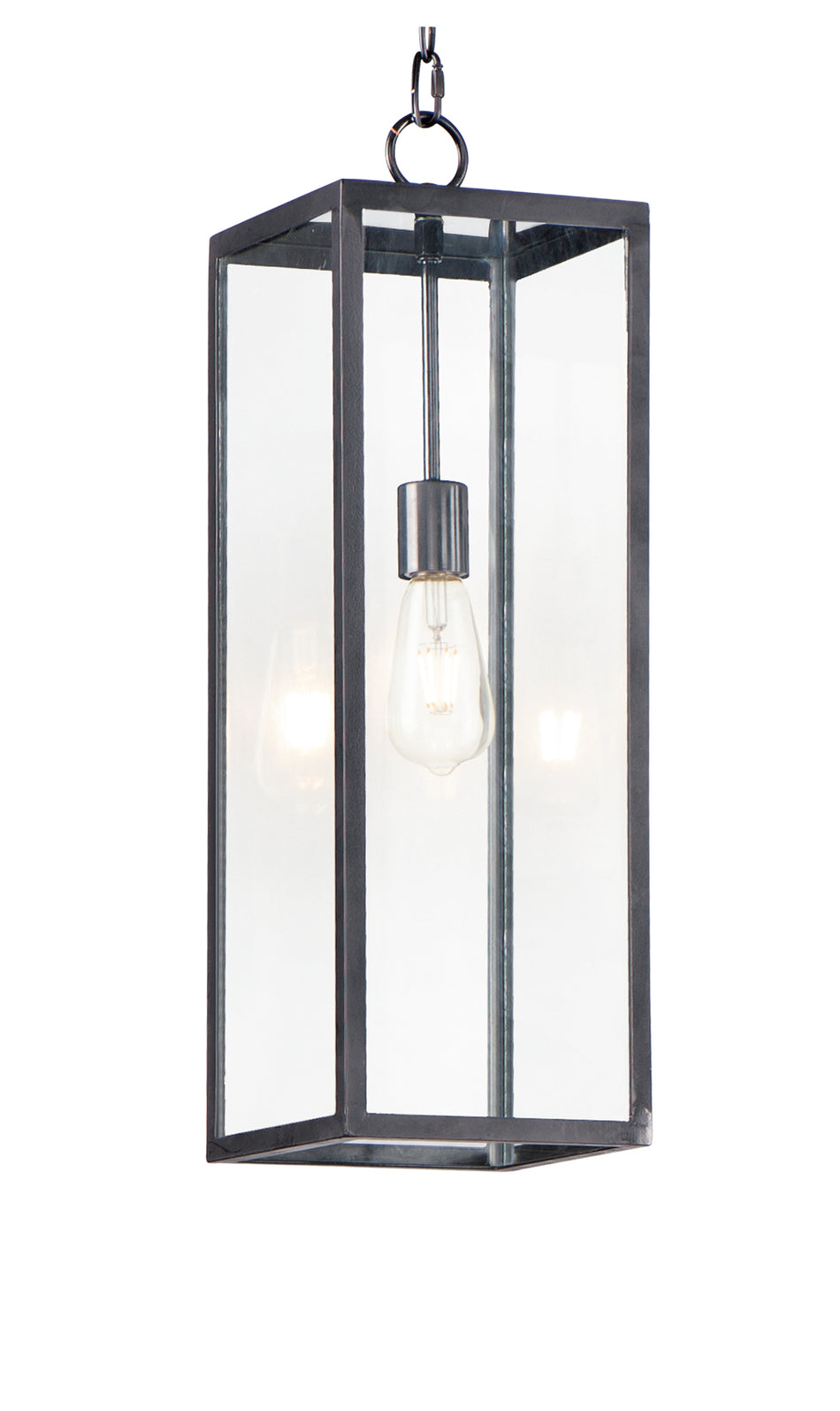 Catalina 1-Light Outdoor Hanging Lantern
