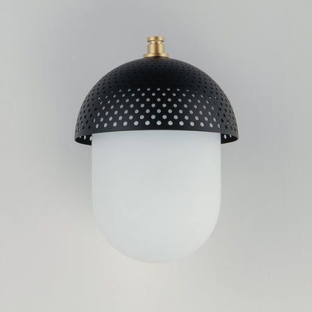 Perf 1-Light Outdoor Wall Sconce