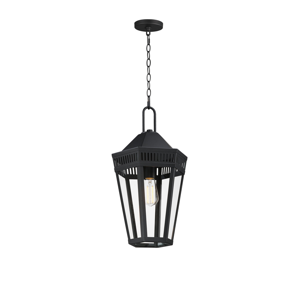 Oxford Outdoor 1-Light Pendant