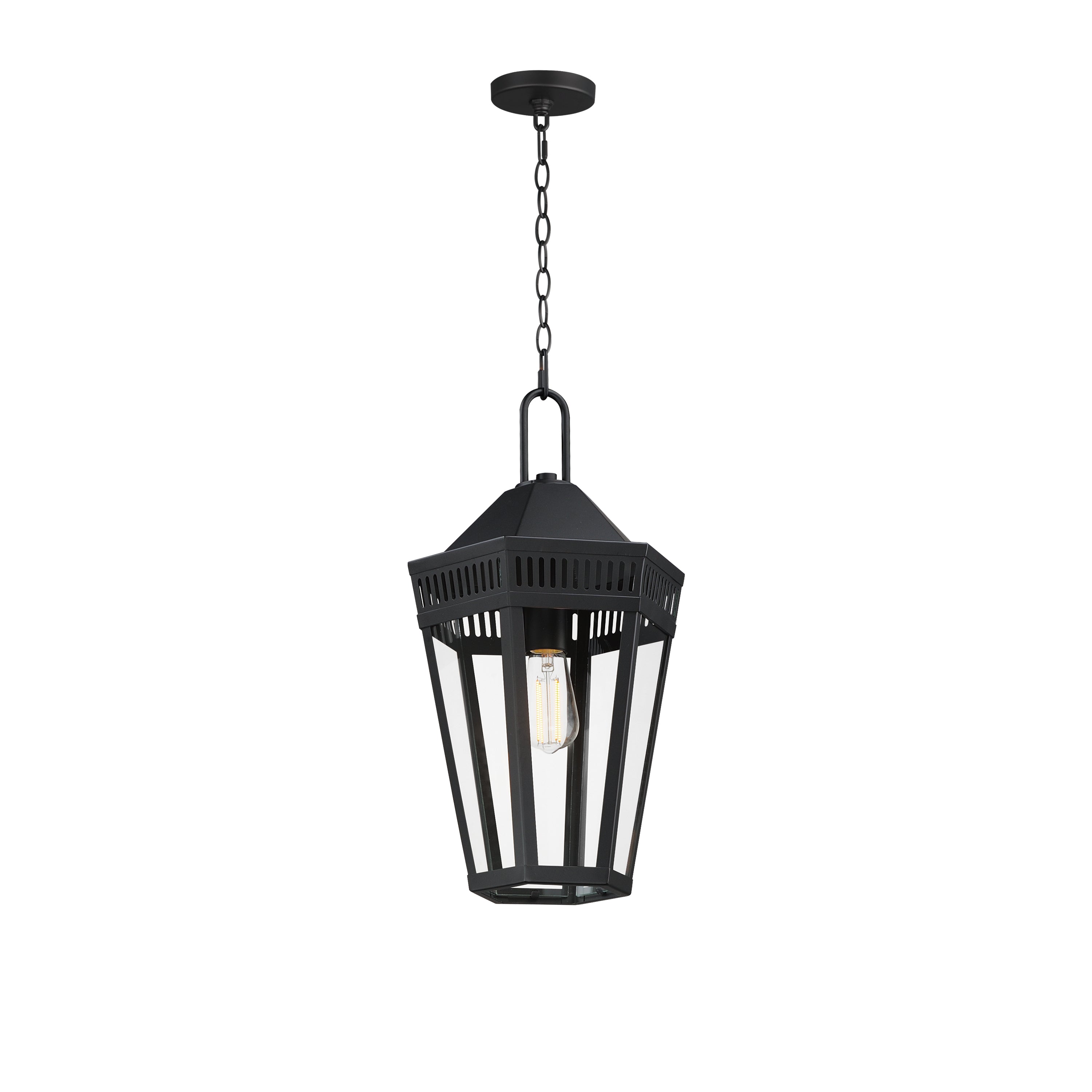 Oxford Outdoor 1-Light Pendant
