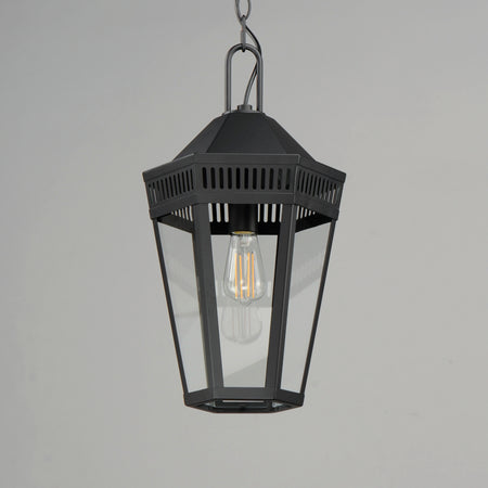 Oxford Outdoor 1-Light Pendant