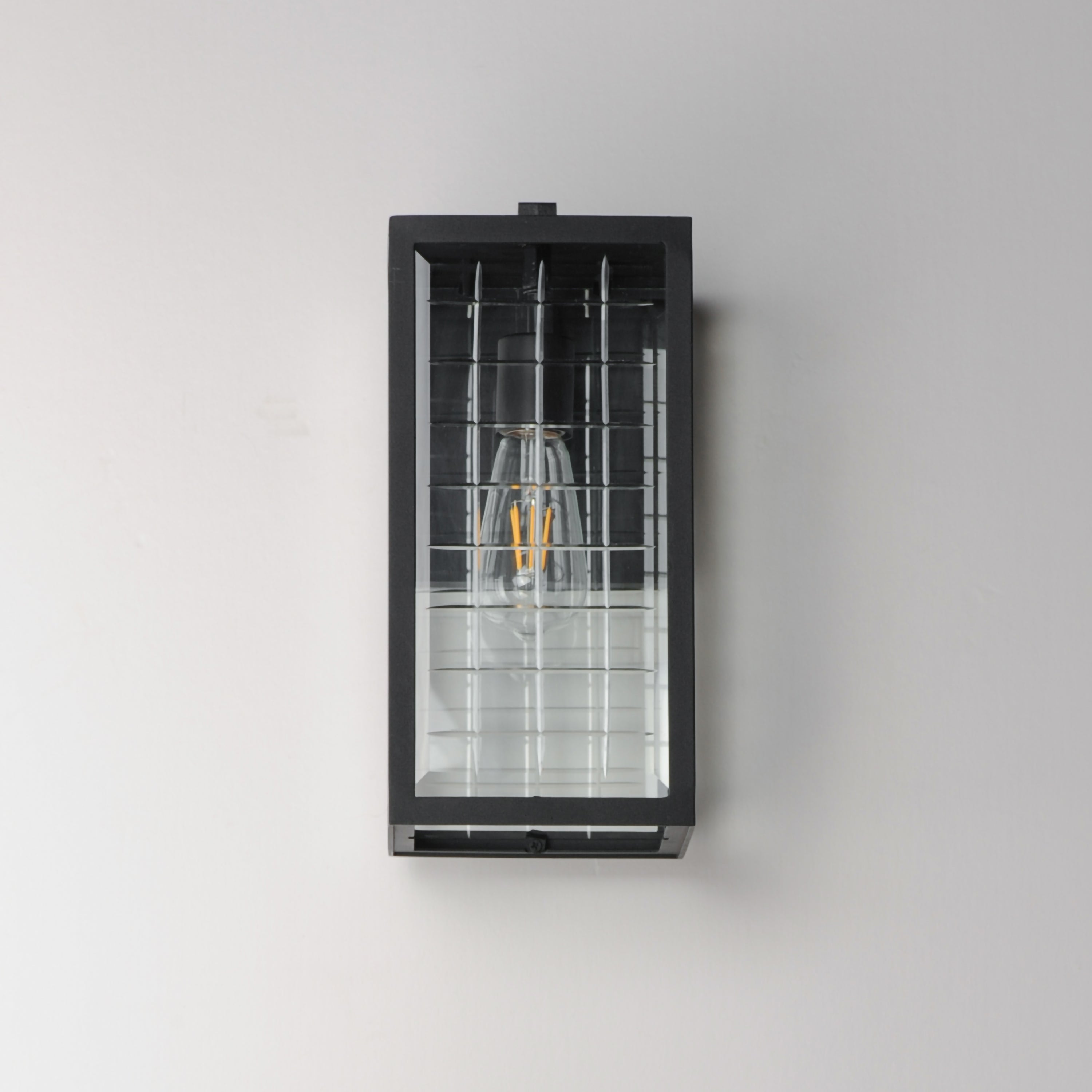 Magnus 1-Light Outdoor Wall Sconce