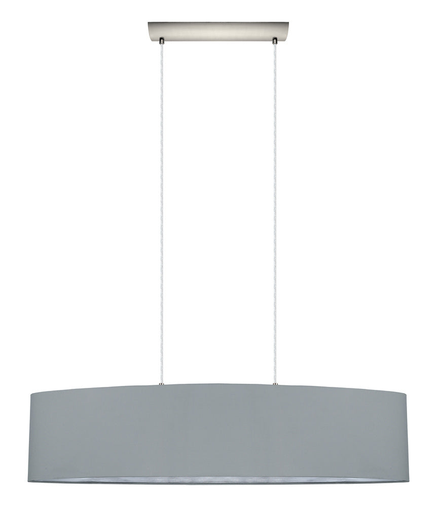 2L Pendant Light / Luminaire suspendu 2L