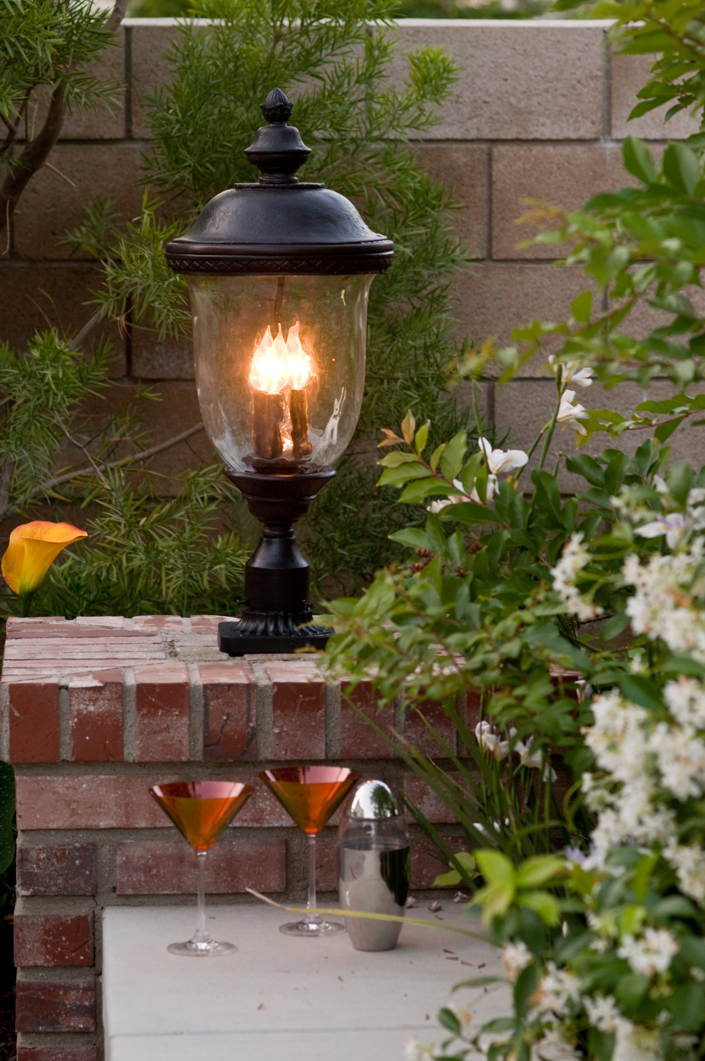 Carriage House DC 2-Light Outdoor Wall Lantern