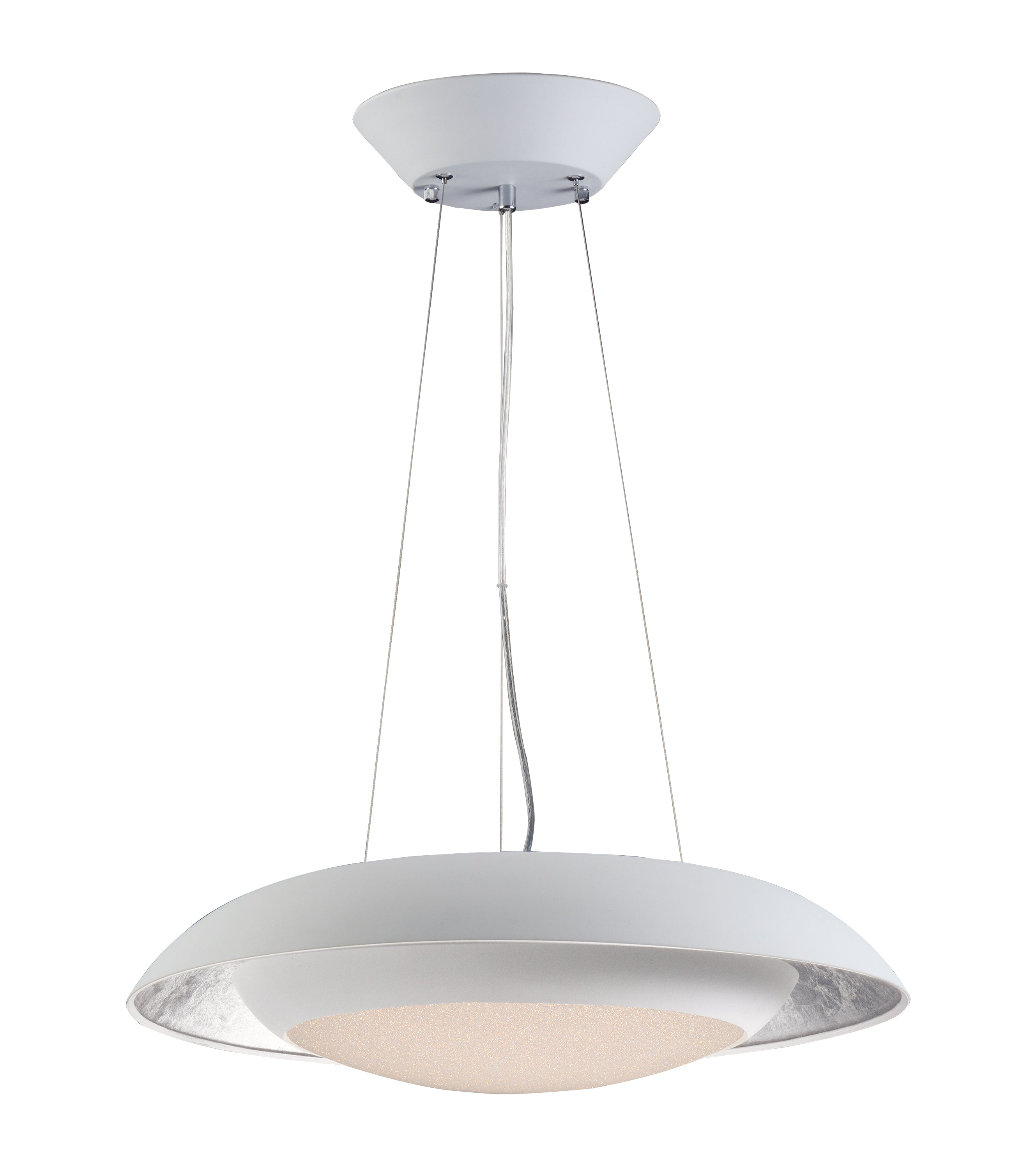 Iris 24" LED Pendant
