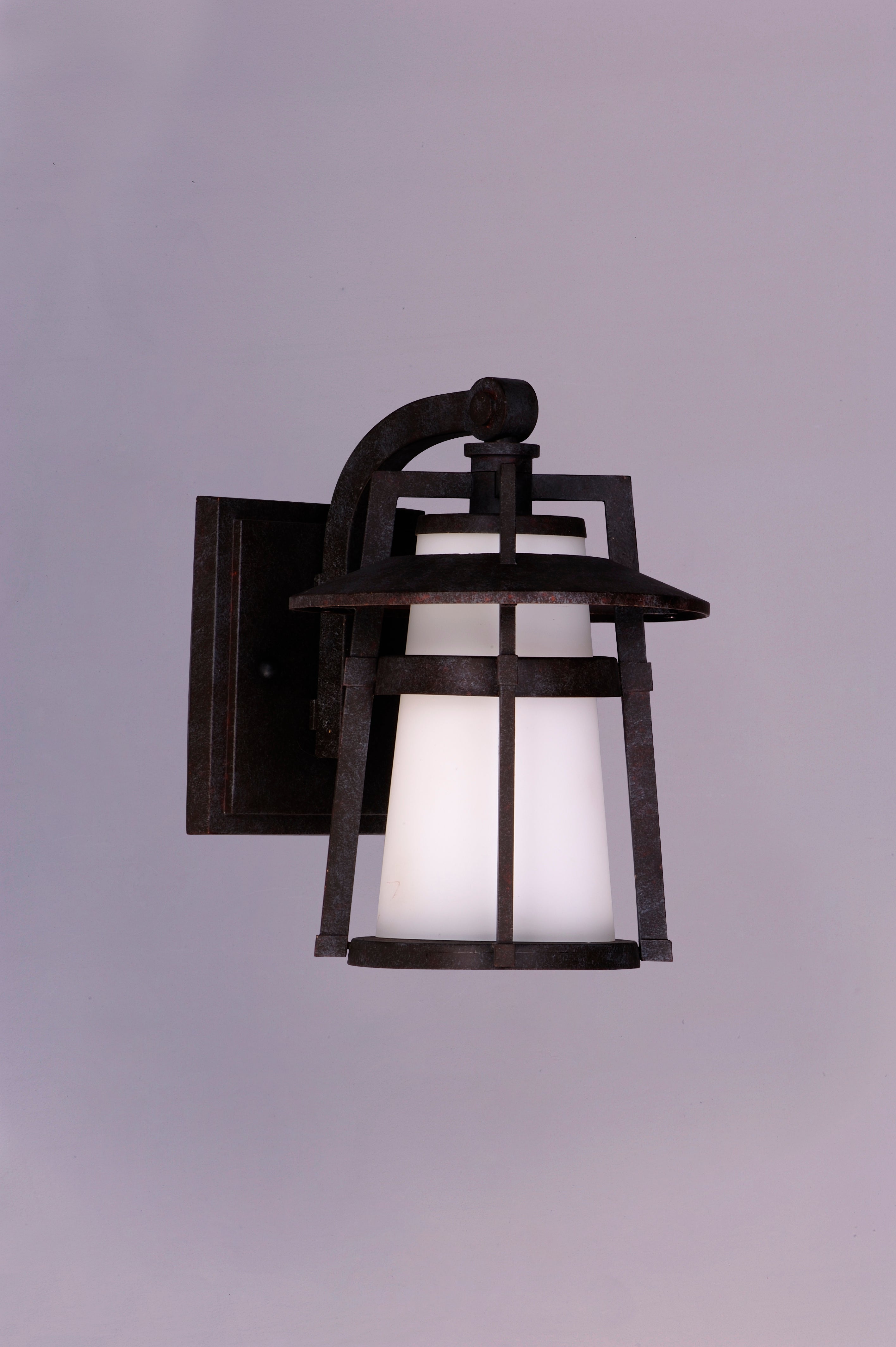 Calistoga 1-Light Outdoor Wall Lantern