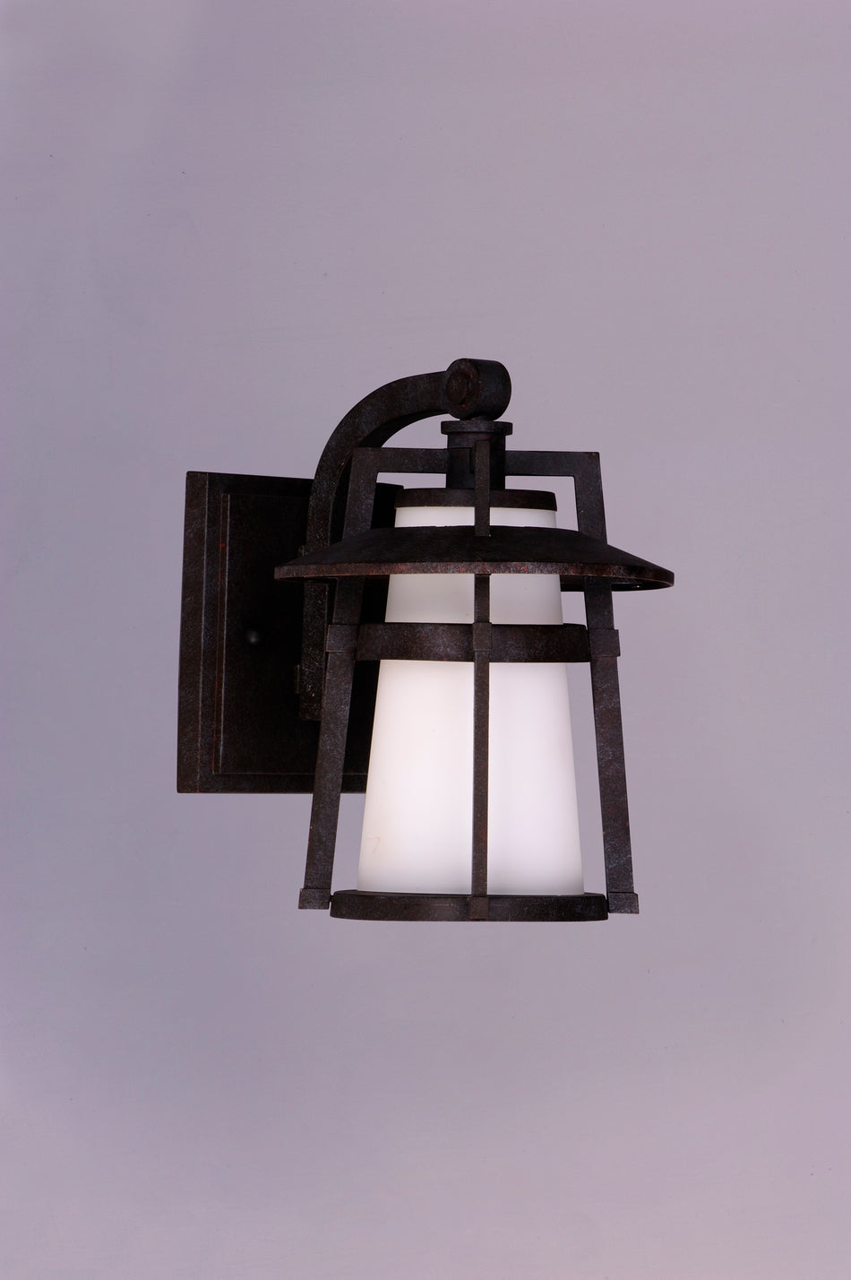 Calistoga 1-Light Outdoor Wall Lantern
