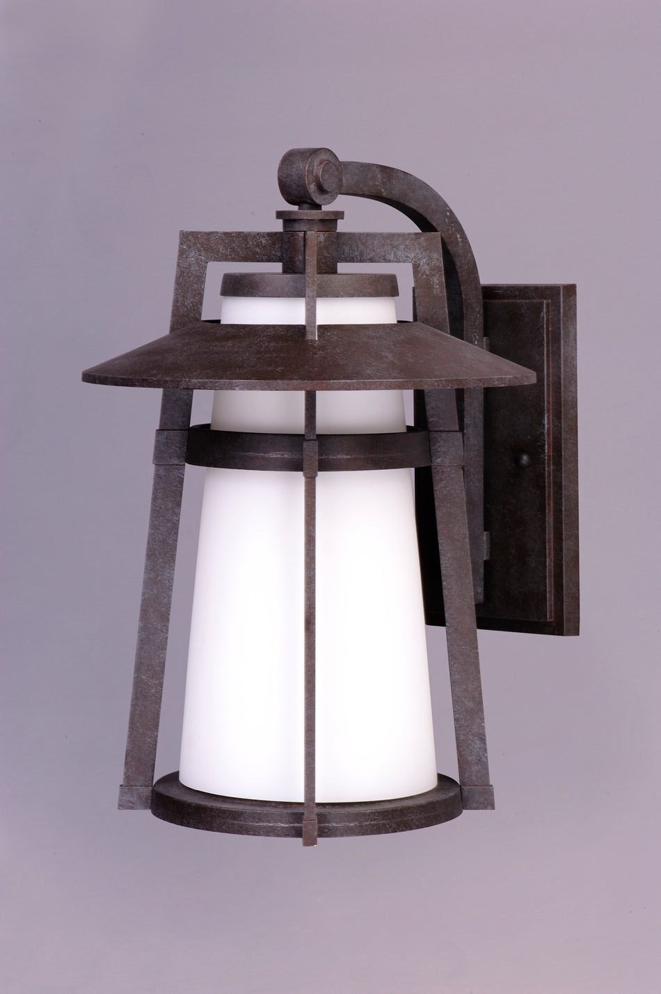 Calistoga 1-Light Outdoor Wall Lantern