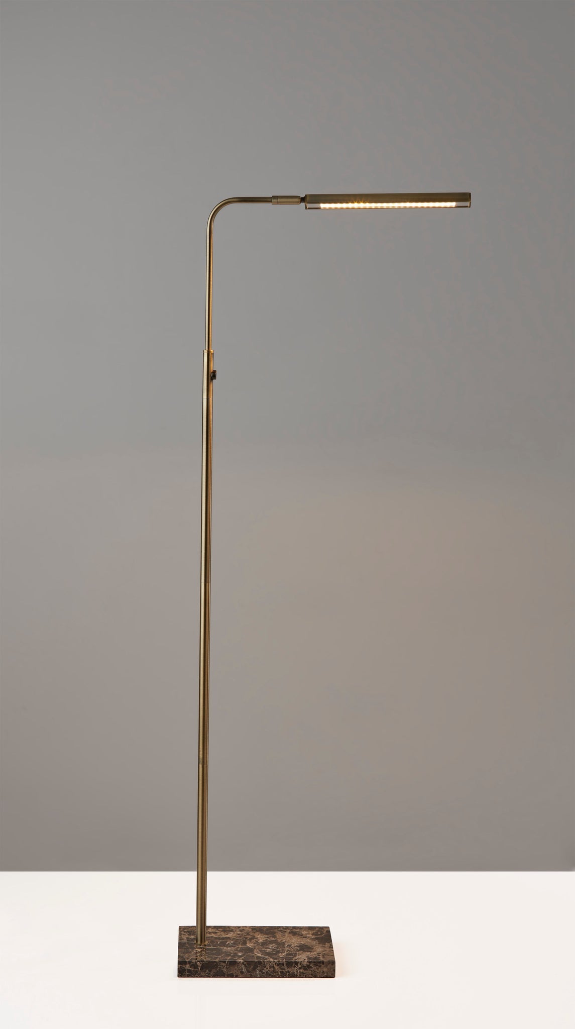 Reader LED Floor Lamp