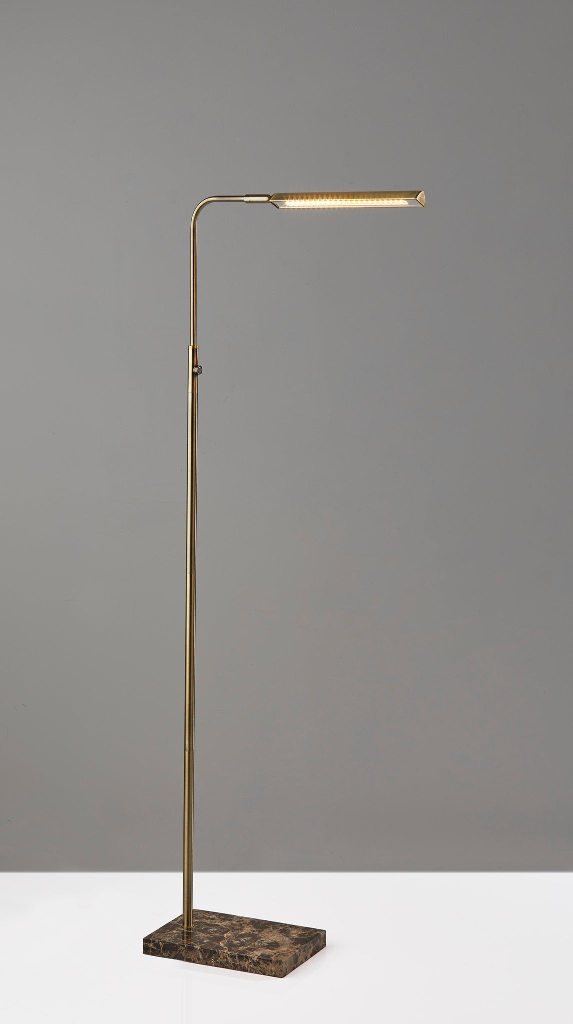 Reader LED Floor Lamp