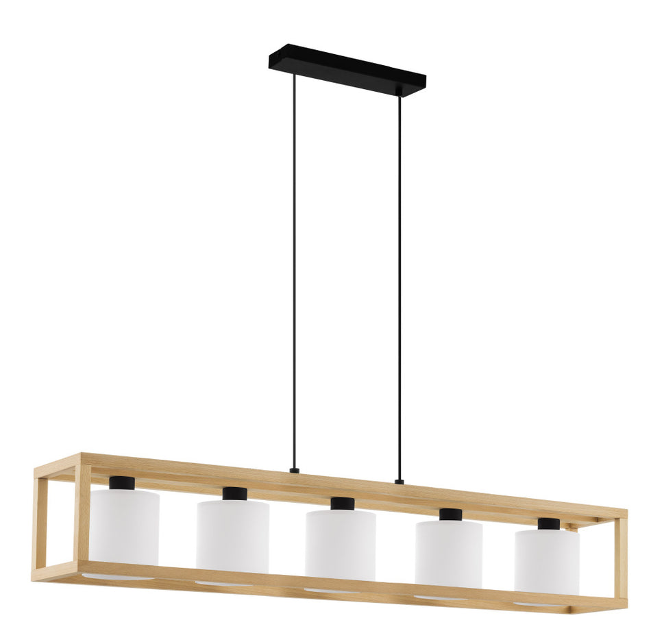 5L Pendant Light / Luminaire suspendu 5L