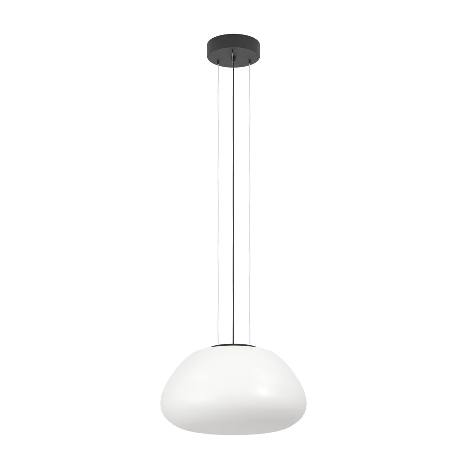 1L Pendant Light / Luminaire suspendu 1L