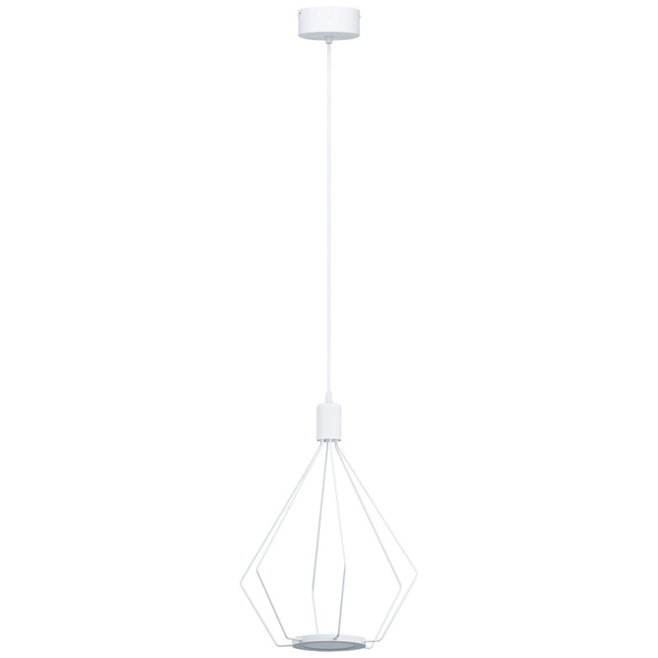 2L LED Pendant Light / Luminaire suspendu DEL 2L