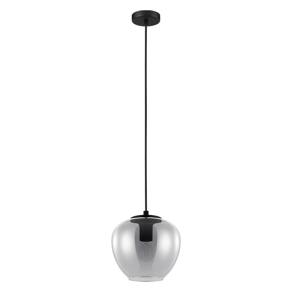 1L Pendant Light / Luminaire suspendu 1L
