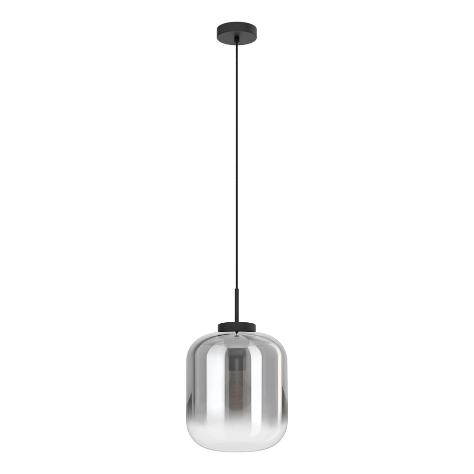 1L Pendant Light / Luminaire suspendu 1L