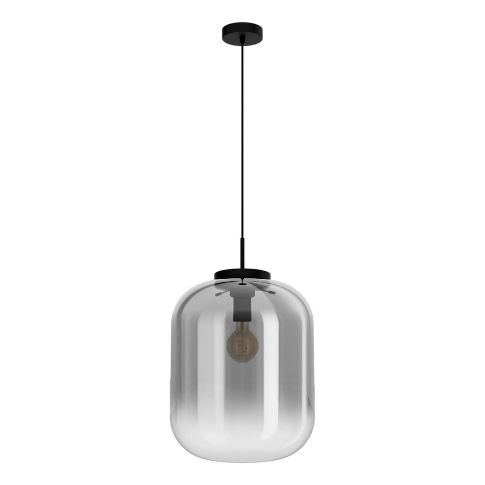 1L Pendant Light / Luminaire suspendu 1L