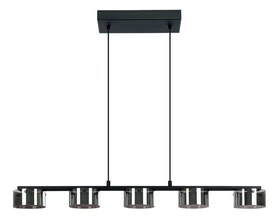 5L LED Pendant Light / Luminaire suspendu DEL 5L