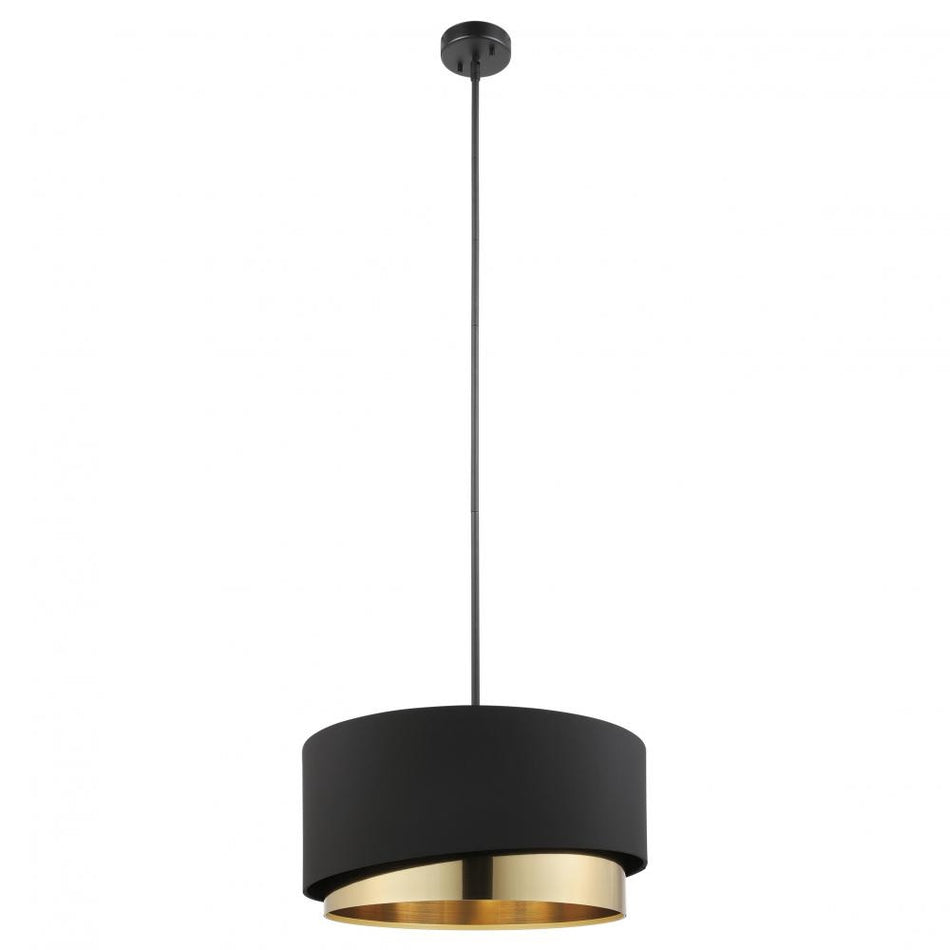 1L Pendant Light / Luminaire suspendu 1L