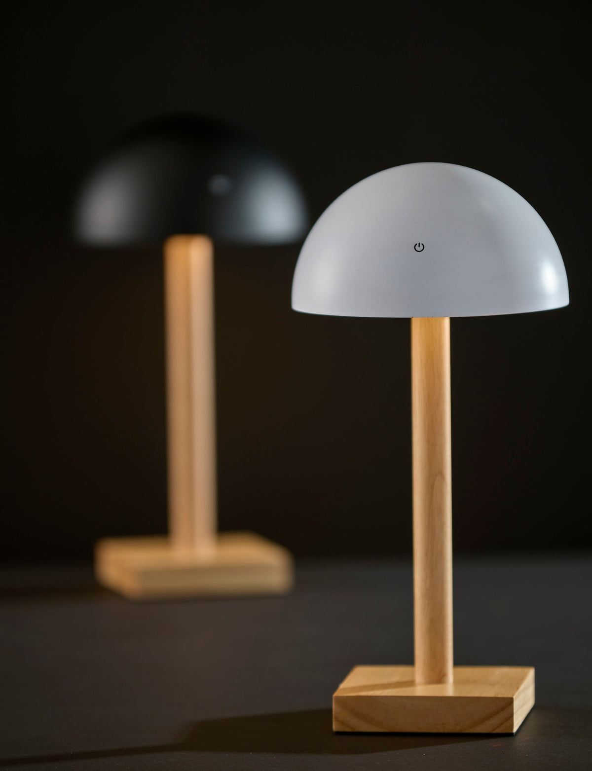 Nash LED Cordless Table Lamp- White