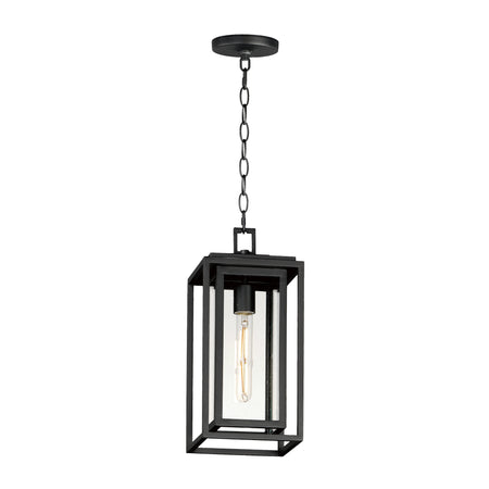 Cabana VX 1-Light Outdoor Hanging Pendant