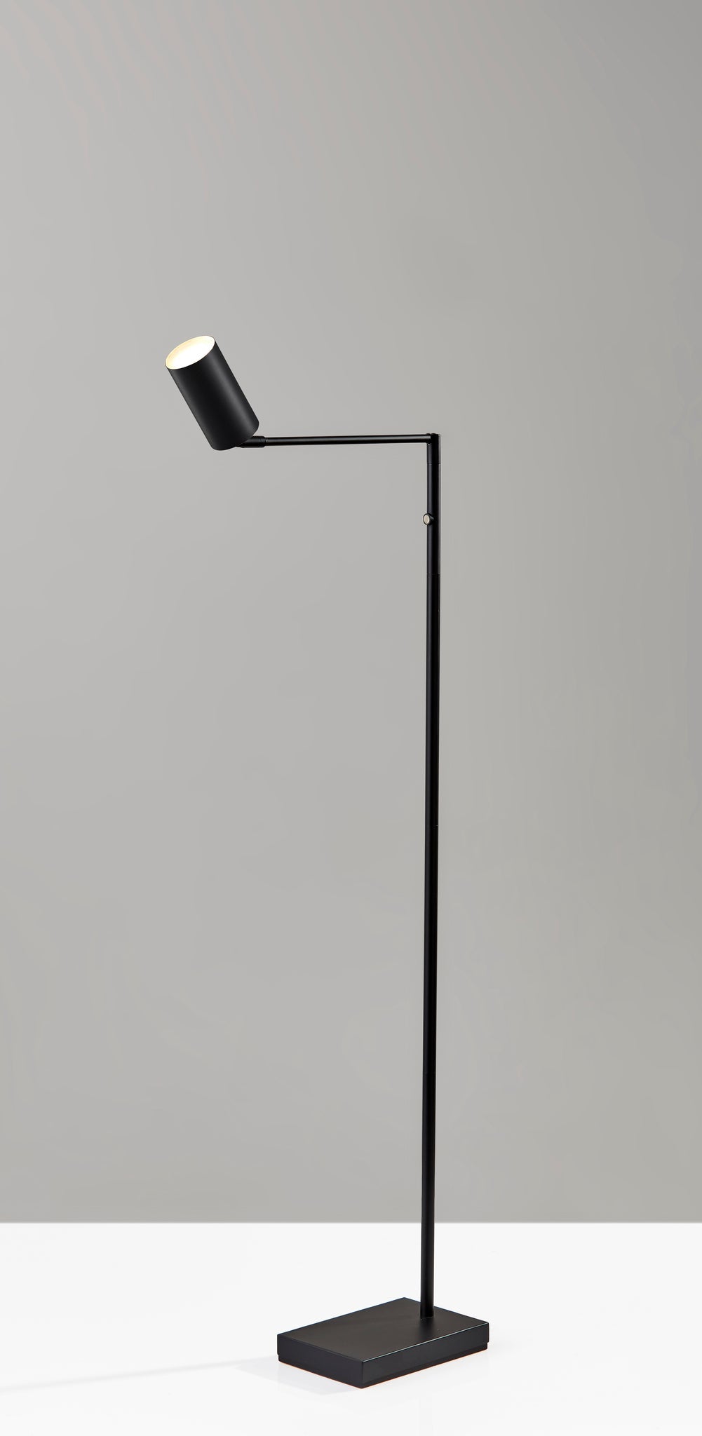 Colby LED Floor Lamp