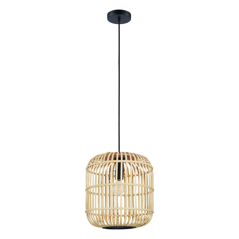 1L Pendant Light / Luminaire suspendu 1L