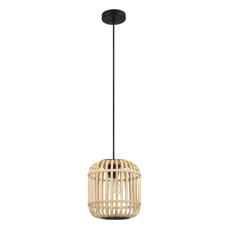 1L Pendant Light / Luminaire suspendu 1L