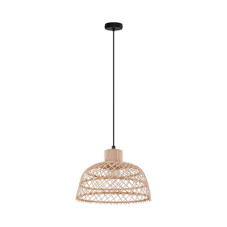 1L Pendant Light / Luminaire suspendu 1L