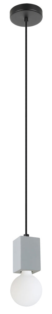 1L Pendant Light / Luminaire suspendu 1L