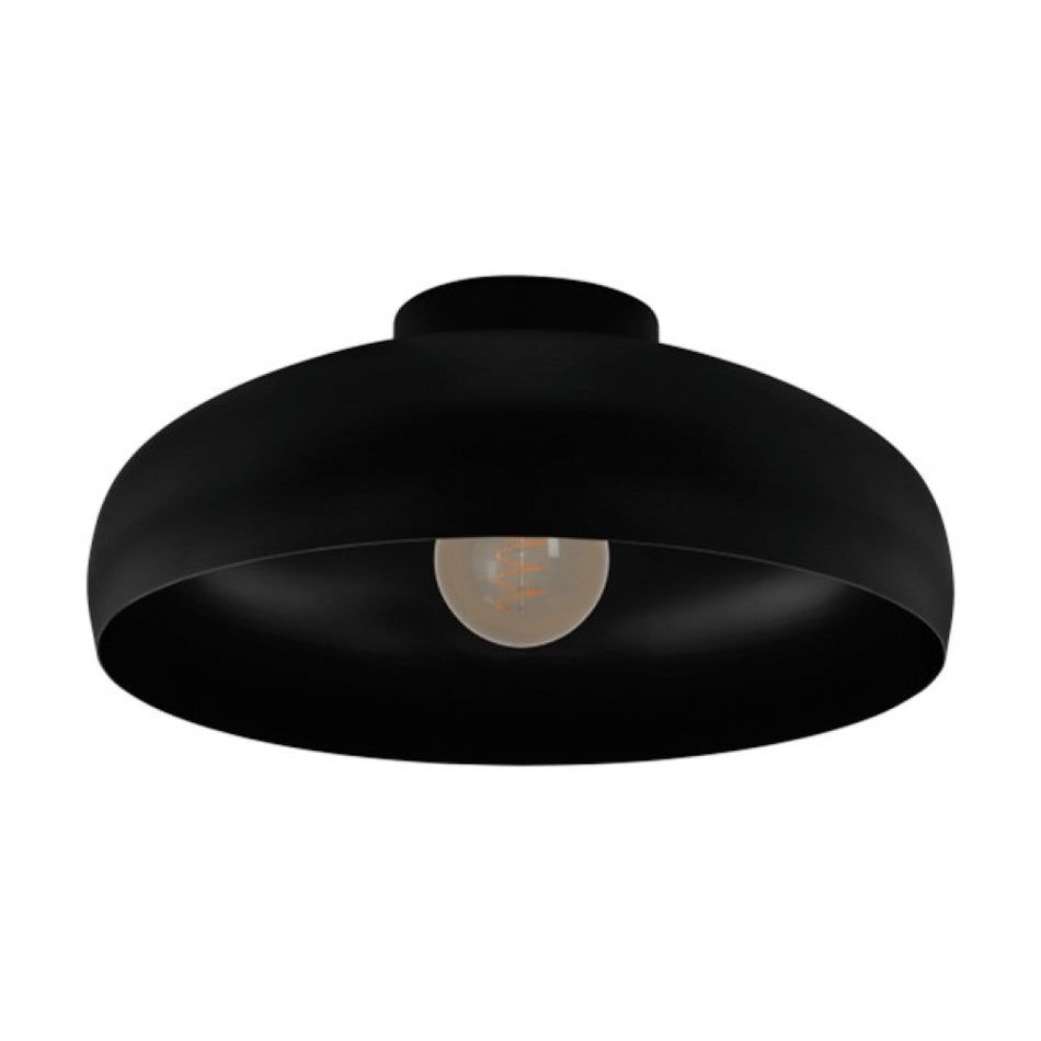 1L Ceiling Light / Plafonnier 1L
