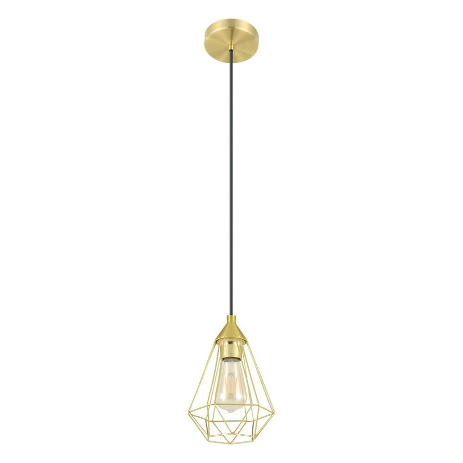 1L Pendant Light / Luminaire suspendu 1L